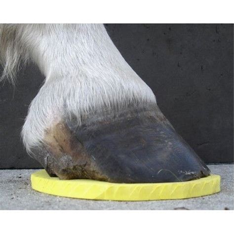 Exploring alternative options for hoof protection: the magic cushion barefoot horse pad